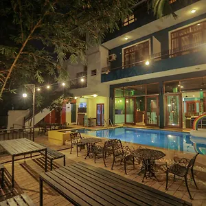book here